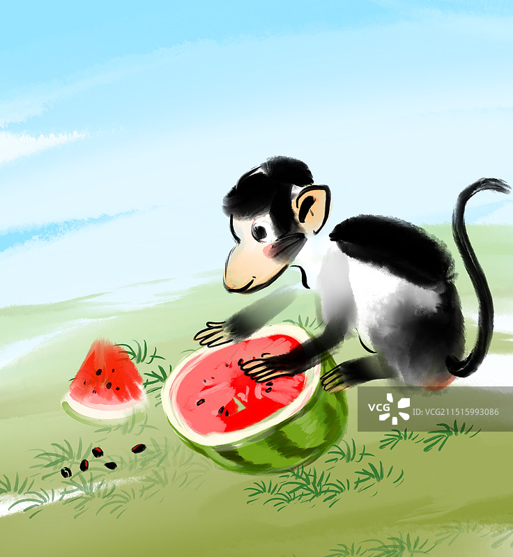 猴子，吃，西瓜，图片素材