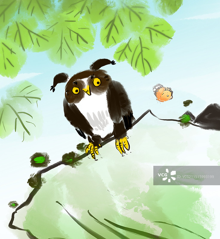 智慧，聪明，猫头鹰，枭鸟图片素材