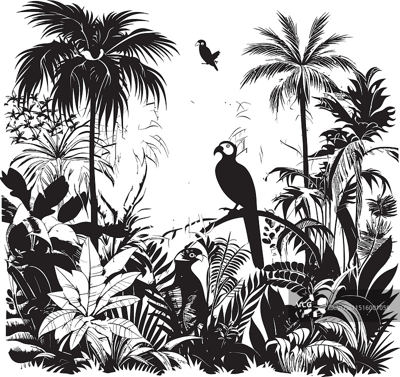 午夜绿洲乌木丛林标志黑曜石图片素材