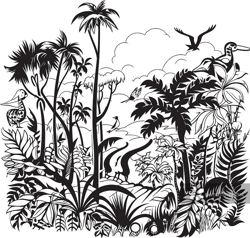 黑色角落午夜丛林标志伊甸园图片素材