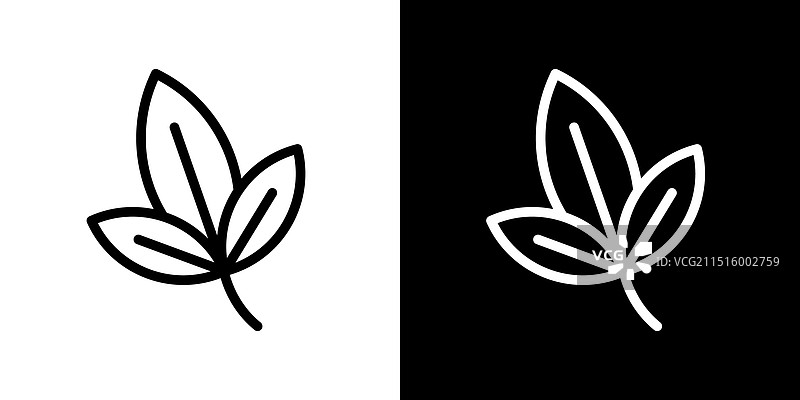 白色背景上的罗勒图标集图片素材