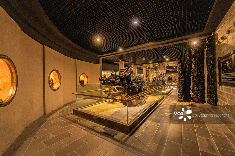 乐山乌木文化博览苑图片素材