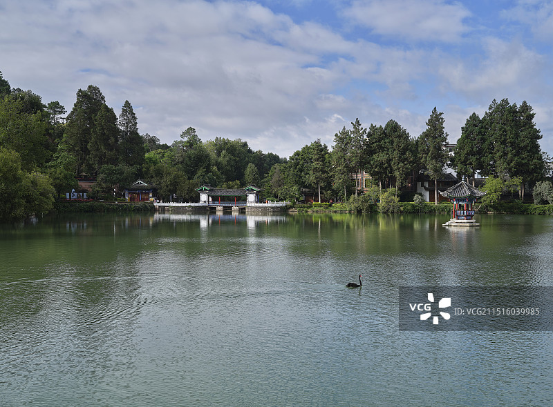 丽江黑龙潭公园图片素材