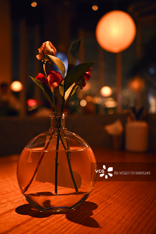 餐厅桌上花瓶里的花朵特写镜头图片素材