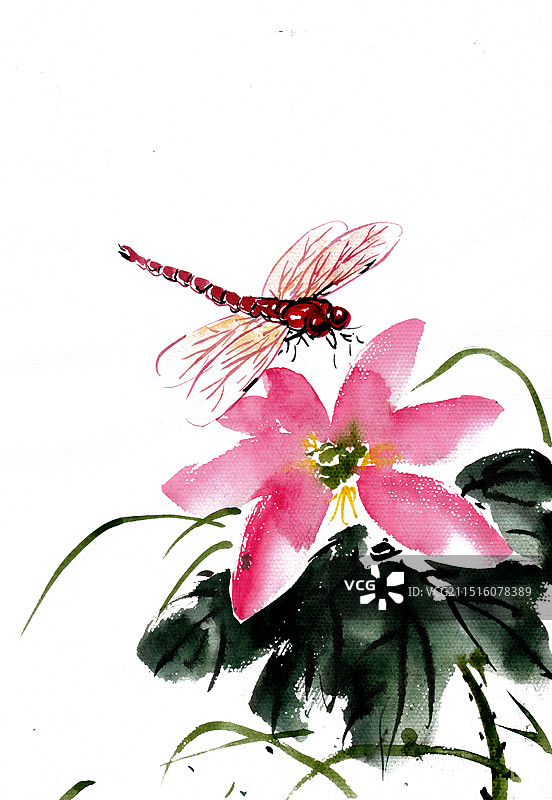 荷花与蜻蜓图片素材