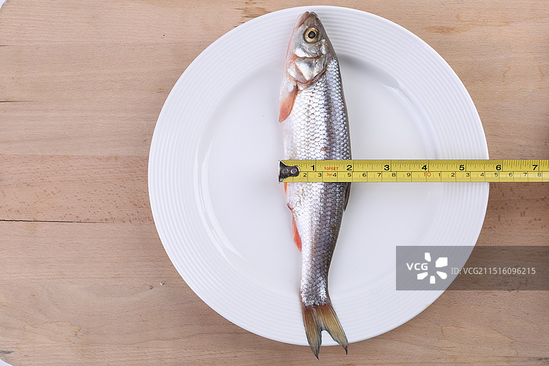 冷水鱼,华子鱼,新鲜华子鱼,淡水鱼,细鳞鱼,野生华子鱼,野生小鱼,鱼汤,新鲜鱼,一条鱼,河鲜,河鱼,图片素材