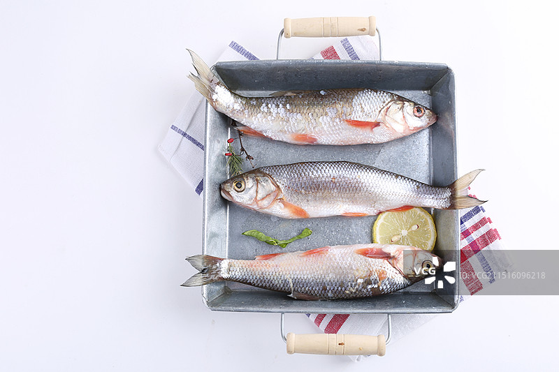 冷水鱼,华子鱼,新鲜华子鱼,淡水鱼,细鳞鱼,野生华子鱼,野生小鱼,鱼汤,新鲜鱼,一条鱼,河鲜,河鱼,图片素材