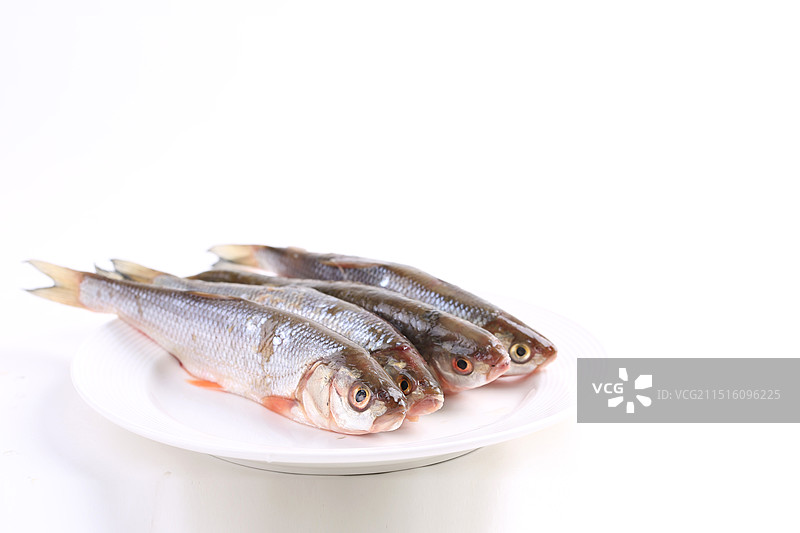 冷水鱼,华子鱼,新鲜华子鱼,淡水鱼,细鳞鱼,野生华子鱼,野生小鱼,鱼汤,新鲜鱼,一条鱼,河鲜,河鱼,图片素材