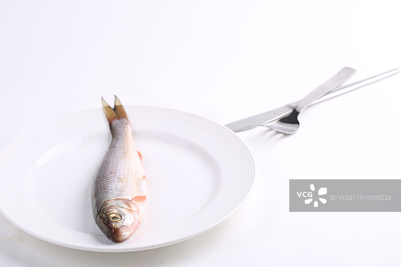 冷水鱼,华子鱼,新鲜华子鱼,淡水鱼,细鳞鱼,野生华子鱼,野生小鱼,鱼汤,新鲜鱼,一条鱼,河鲜,河鱼,图片素材