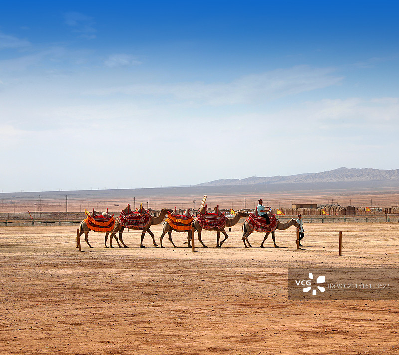 新疆维吾尔自治区吐鲁番火焰山的骆驼队图片素材