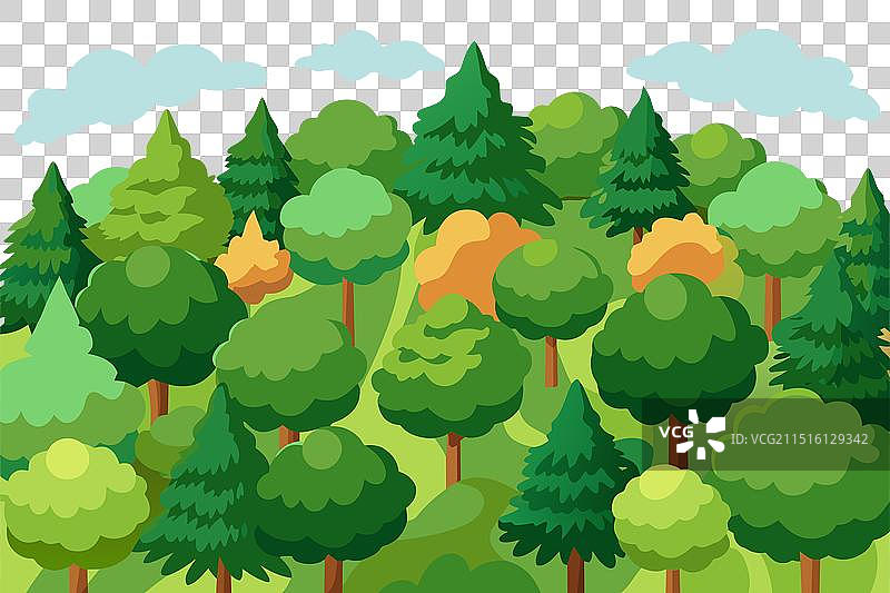 绿树成荫的森林景观航拍图片素材