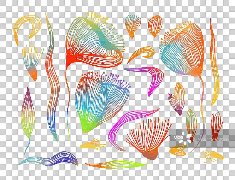 手绘线条彩色花朵合集图片素材