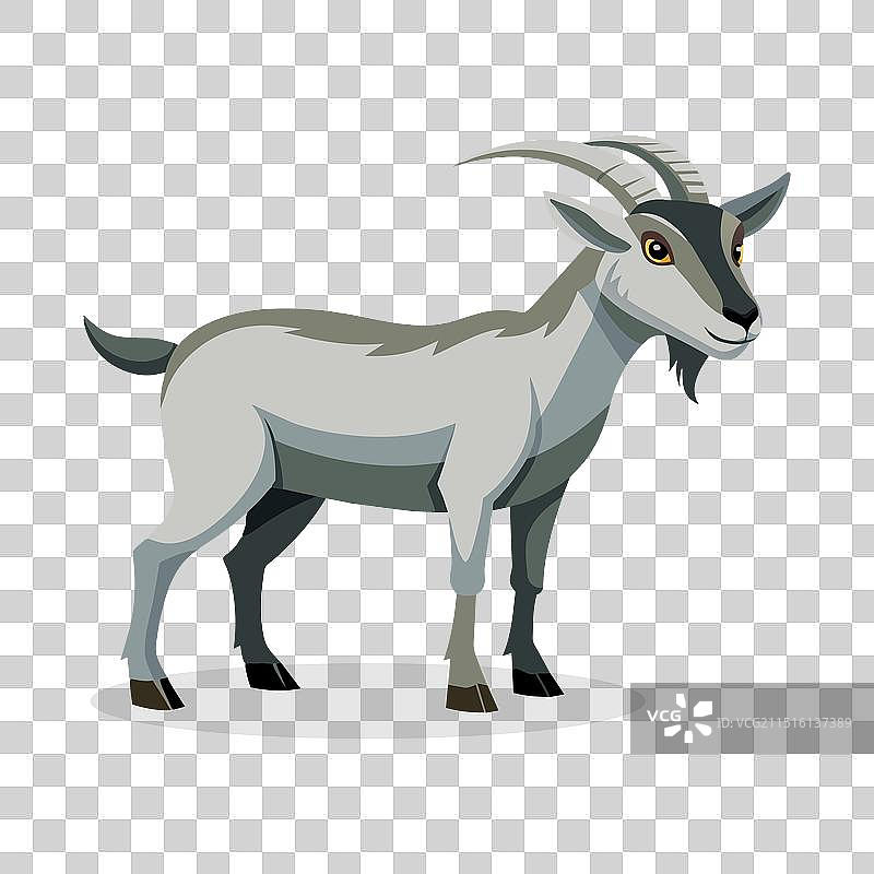 白色背景上的阿尔卑斯山羊扁平风格图案图片素材