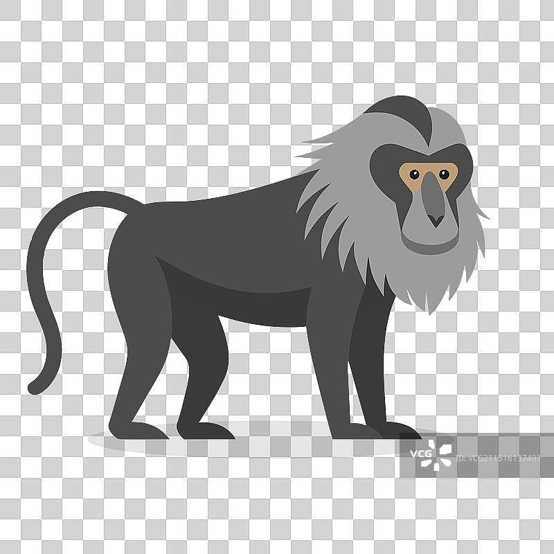 白色背景上的扁平狒狒图片素材