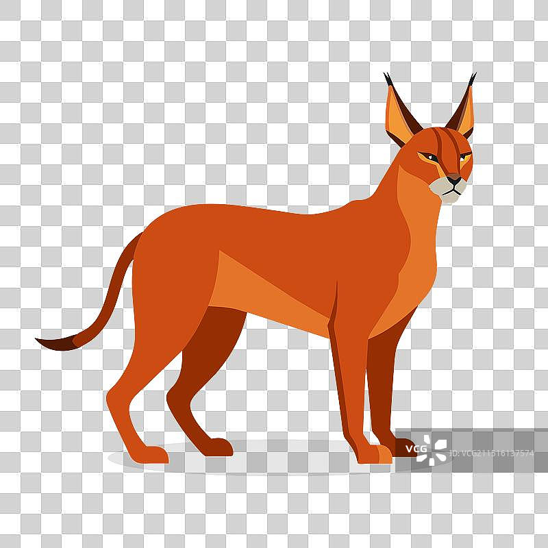 白色背景上的狞猫扁平风格图片素材