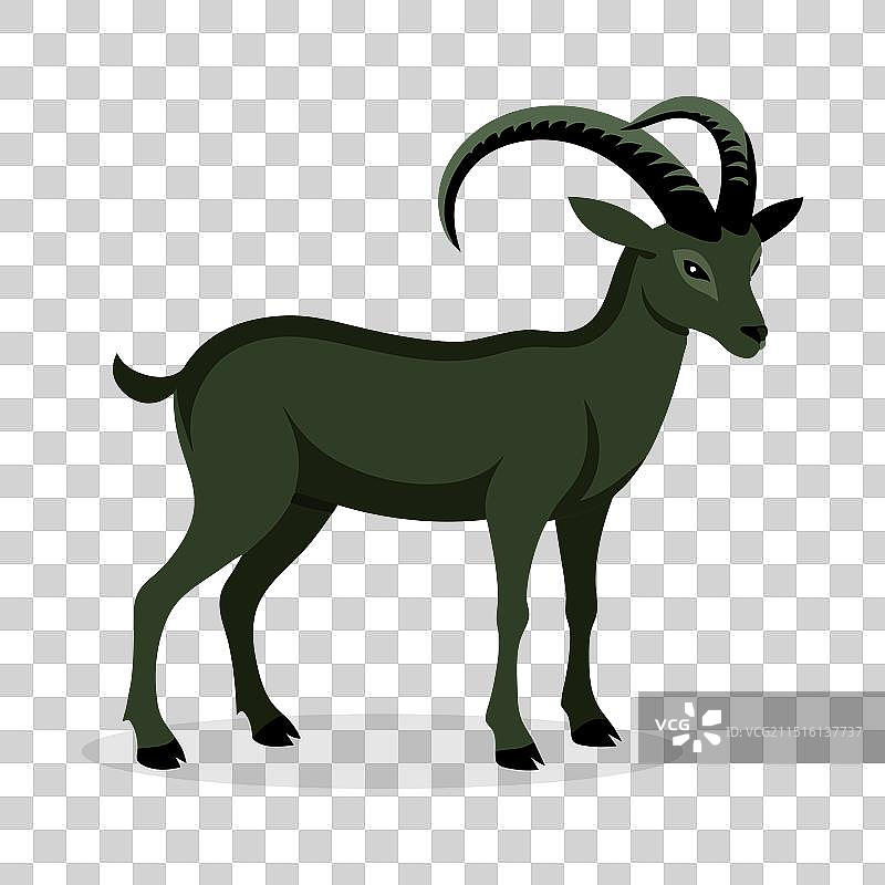 白色背景上的扁平风格北山羊图片素材