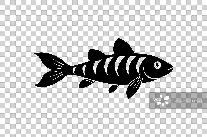 黑色斑马鱼轮廓图片素材