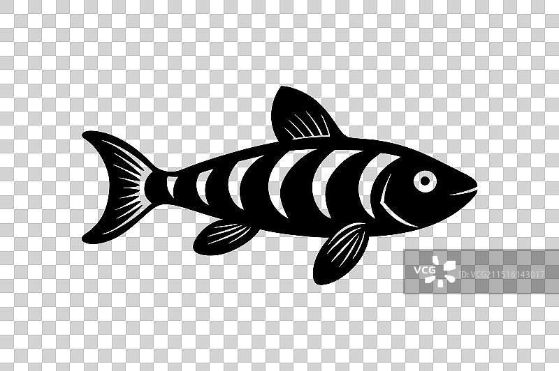 斑马鱼黑色轮廓图片素材