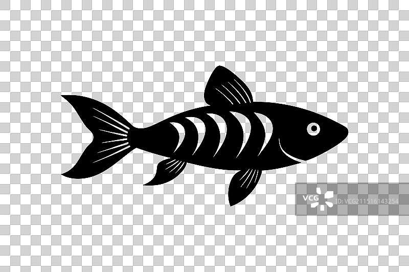 斑马鱼黑色轮廓图片素材