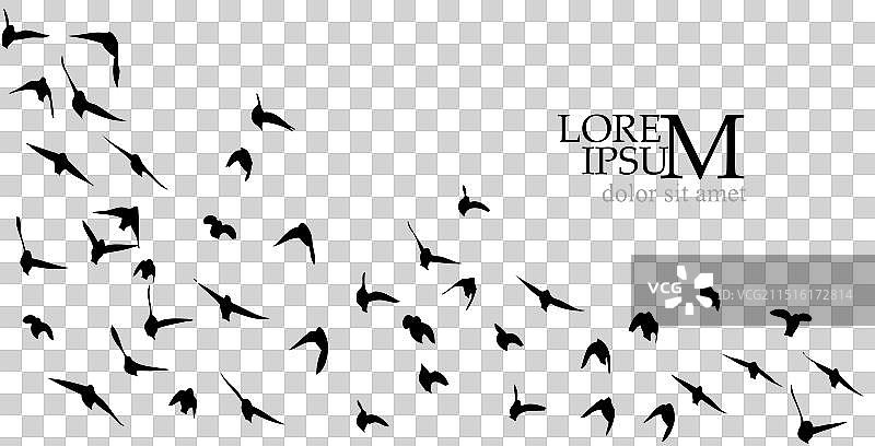 手绘飞鸟群剪影图片素材