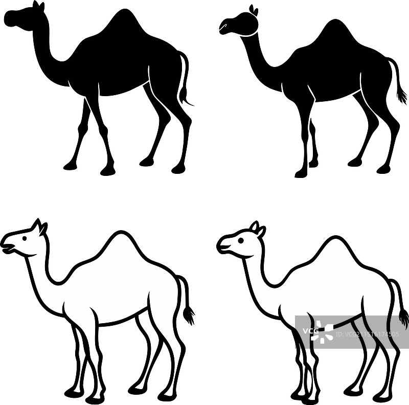 黑色骆驼剪影2图片素材