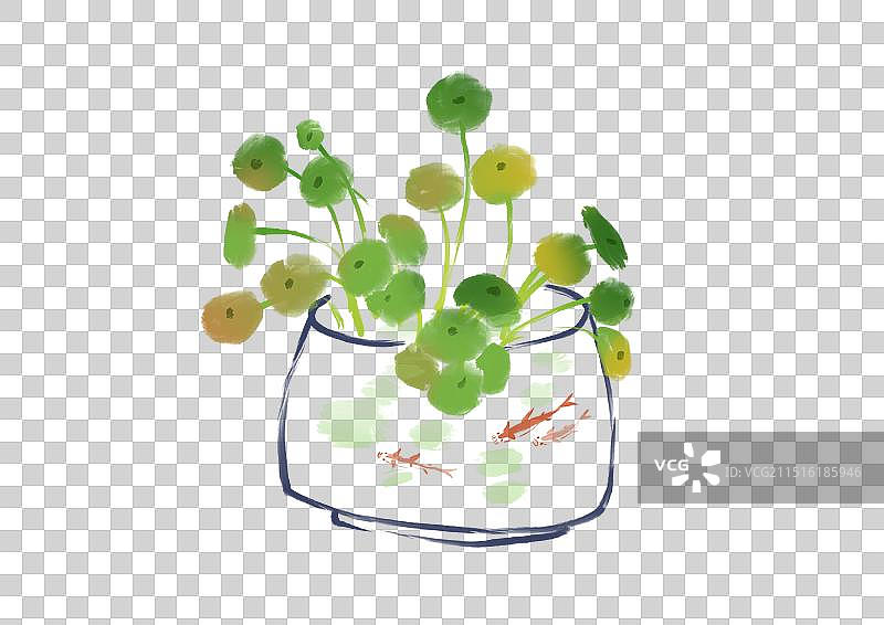 铜钱草，浴缸，鱼缸，鱼，花盆，水墨漫画设计中国风元素图片素材