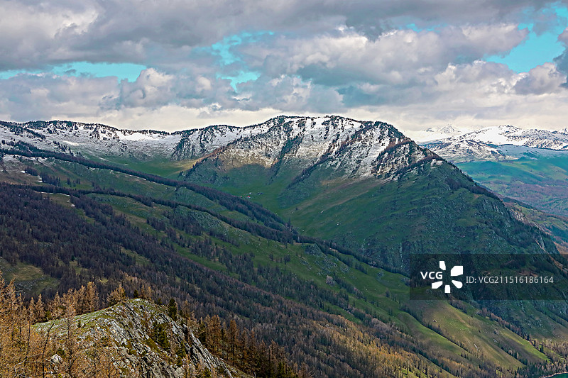新疆多云天气下阿尔泰山脉的雪山冰川和四季分明的森林植被图片素材