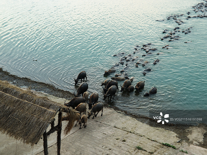 南充蓬安百牛渡江景区图片素材