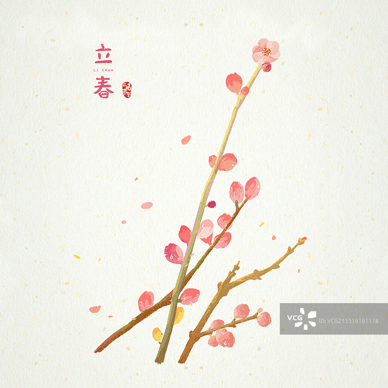 传统二十四节气立春桃花图片素材
