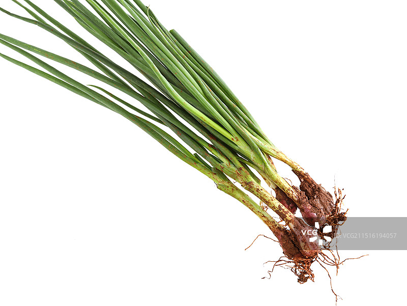 绿色食材葱的白底图图片素材