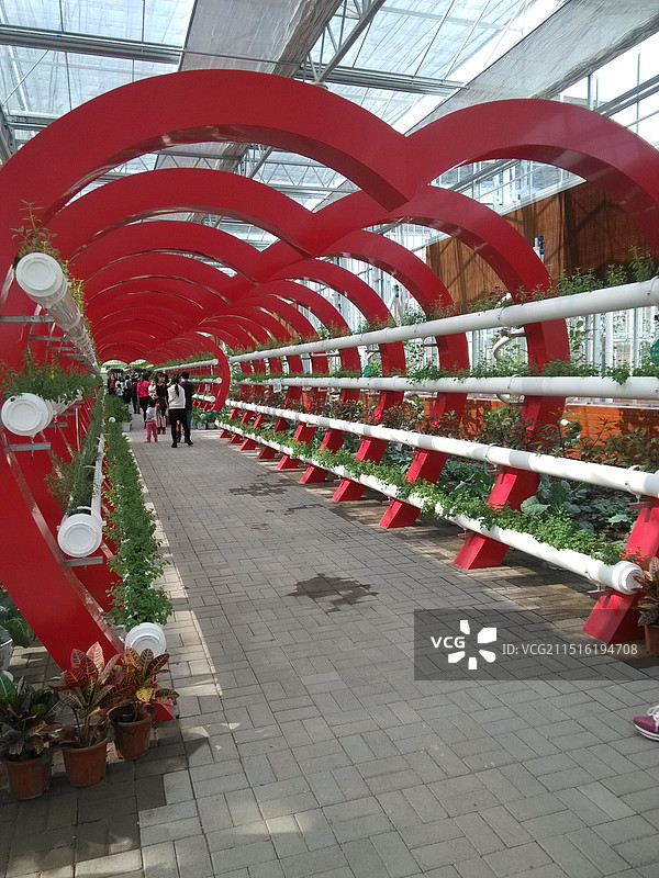 玉林“五彩田园”现代特色农业示范区图片素材