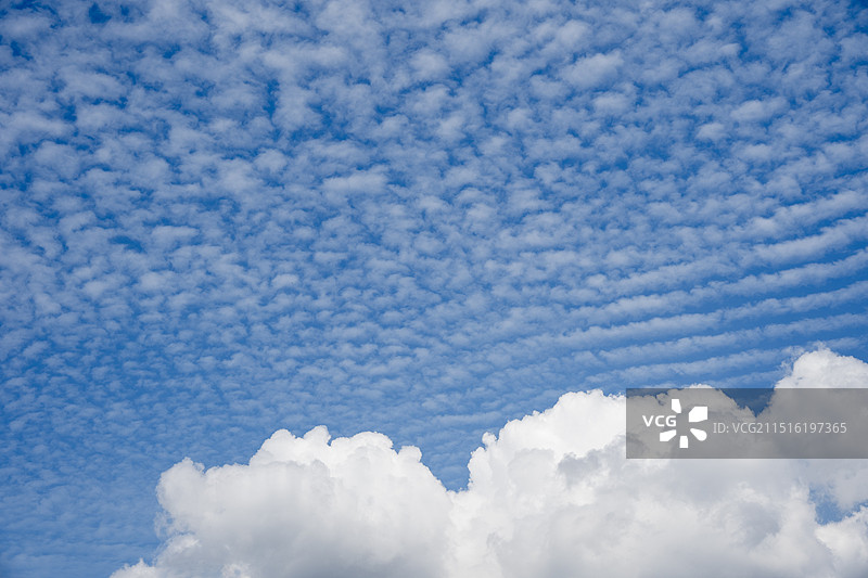 鱼鳞云和棉花云图片素材