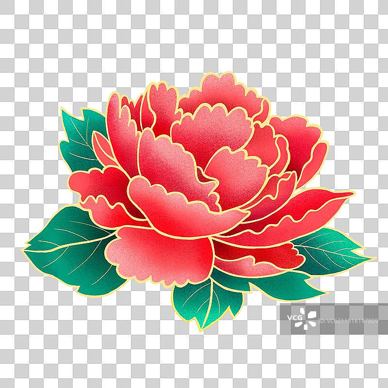 牡丹花图片素材
