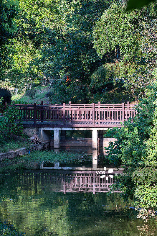 宣城宣州区扬子鳄景区图片素材