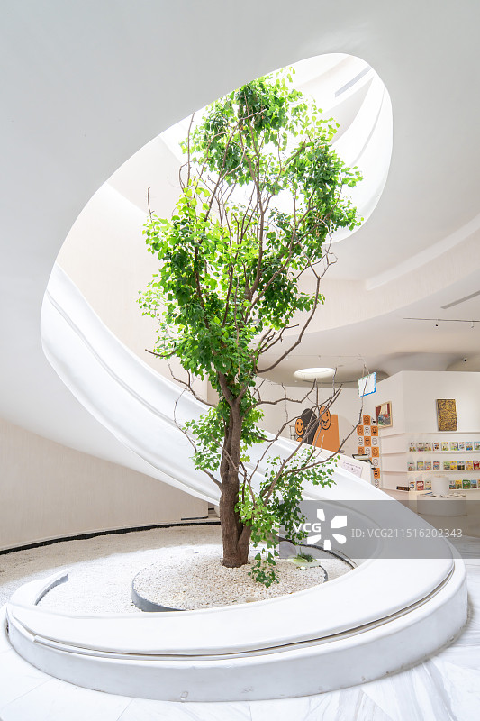 旋转梯中间的树图片素材