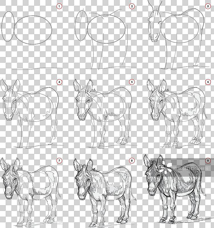 学习写生绘画教程页面图片素材