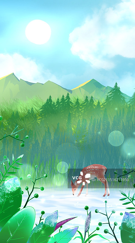 美丽的自然风光和花图片素材