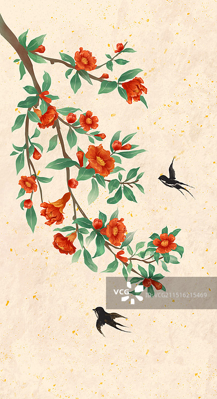 二十四节气-五月小满石榴花盛开图片素材