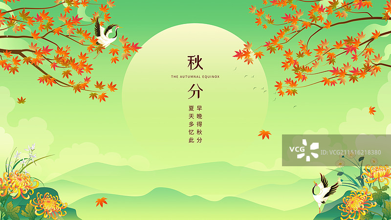 枫叶菊花秋天节气插画图片素材