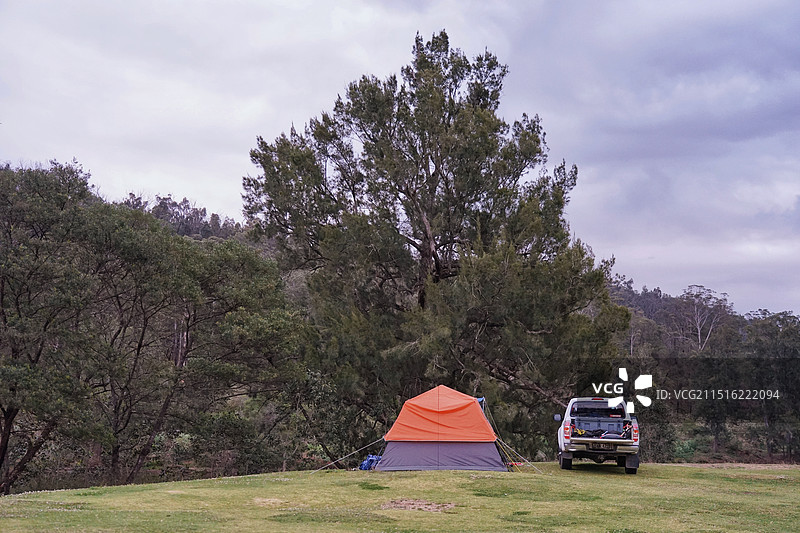 澳大利亚，野生动物保护区，露营，房车图片素材