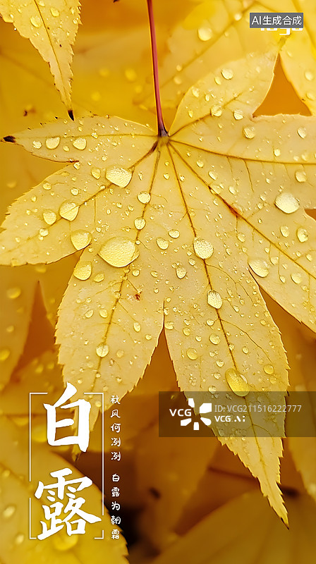 【AI数字艺术】二十四节气白露海报模板图片素材