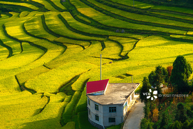 黔南州贵定腊利梯田图片素材