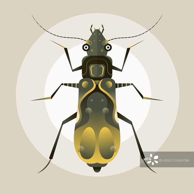 扁平风昆虫插画屎壳郎小插画图片素材