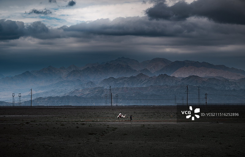 骆驼和祁连山图片素材