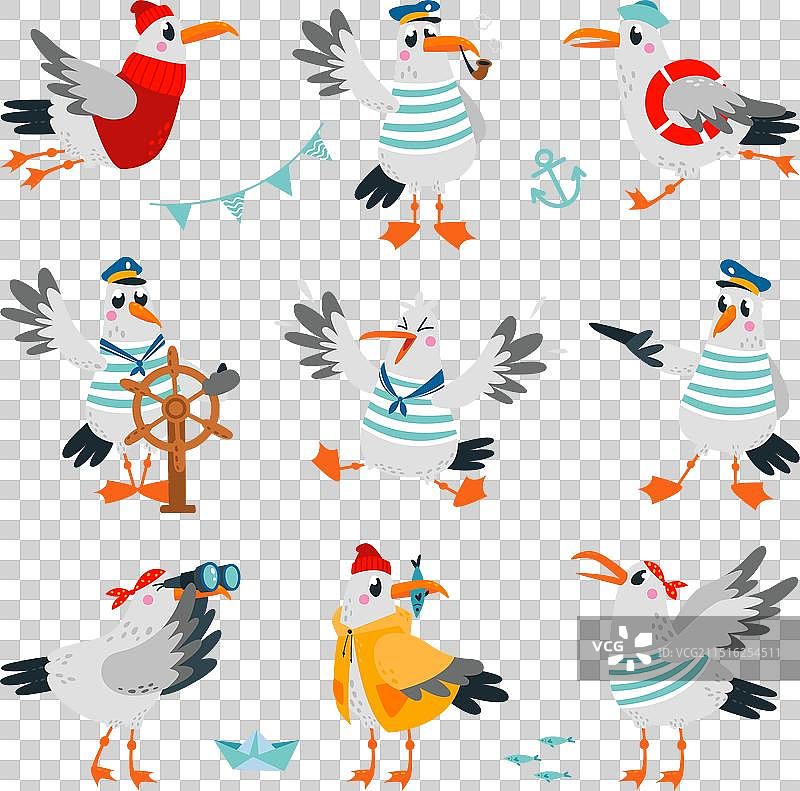 水手海鸥船长和海盗图片素材