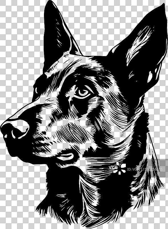 澳大利亚凯尔皮犬黑白隔离图标图片素材