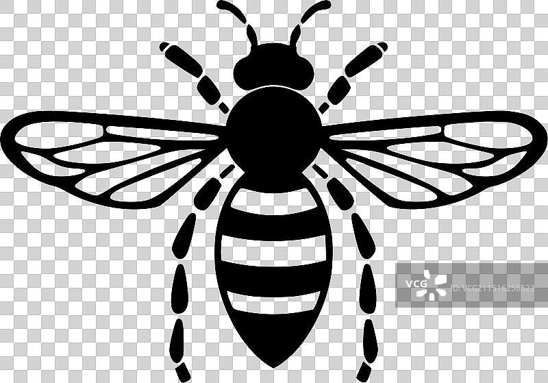 蜜蜂黑白矢量图图片素材
