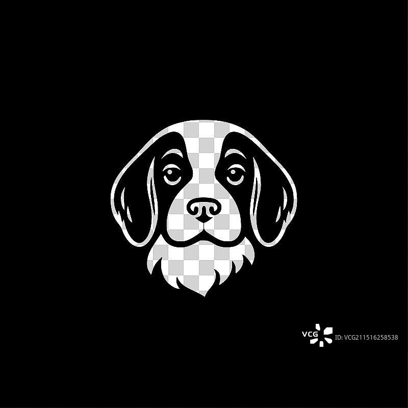 狗——黑白相间图片素材