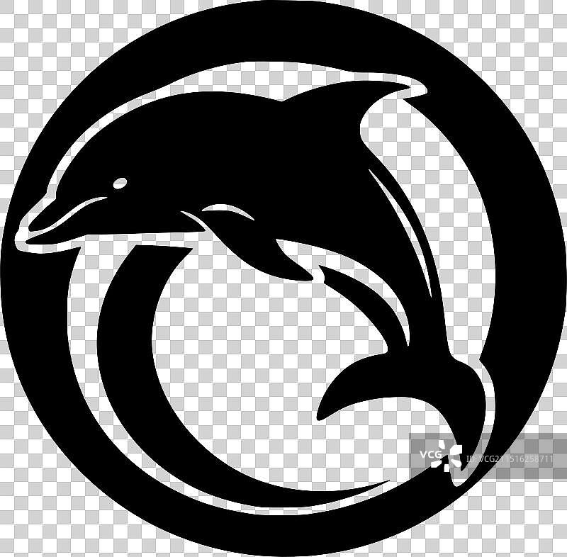 黑白海豚图片素材