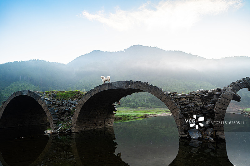 晨雾下的最美乡村婺源图片素材